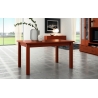 Mesa comedor 336-M-300