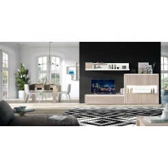 Salon moderno F-532 COMPOSICION 102 TREND