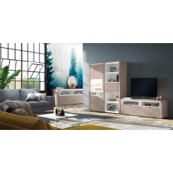 Salon moderno F-532 COMPOSICION 124 TREND