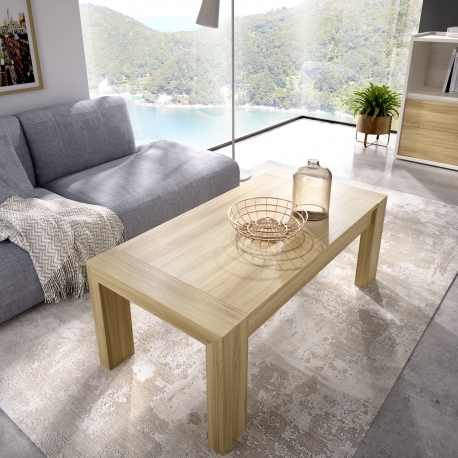 Mesa Centro Elevable 110x55