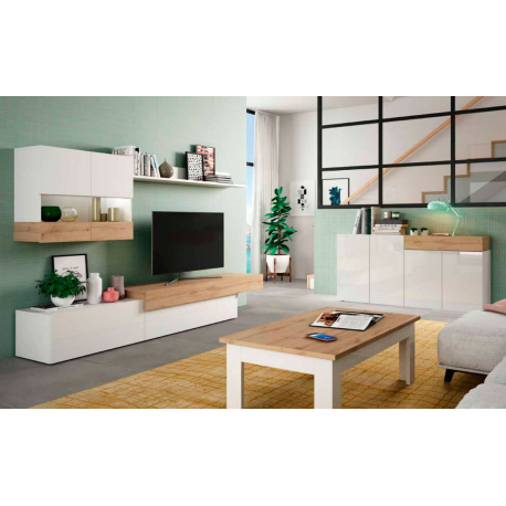 F-336 Salón Aura Composición 205