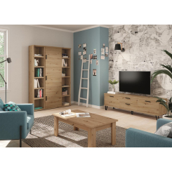 Salon moderno F336-K 727