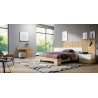 Dormitorio Moderno F440-MS01