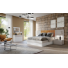 Dormitorio Moderno F440-MS15