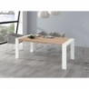 Mesa de centro 22F 336